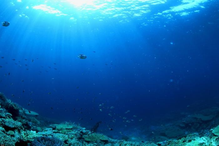पृथ्वी पर कितने महासागर हैं: सही संख्या के बारे में विवाद