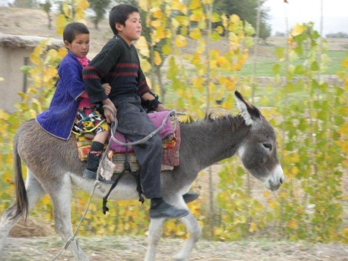 उज़्बेक पुरुष नाम: पीढ़ी से लेकर पीढ़ी तक परंपराओं का स्थानांतरण