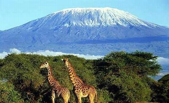 क्या आप जानते हैं अफ्रीका में सबसे बड़ा ज्वालामुखी क्या है?