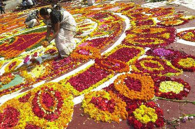 सामाजिक मानव विज्ञान