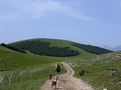 apennine प्रायद्वीप