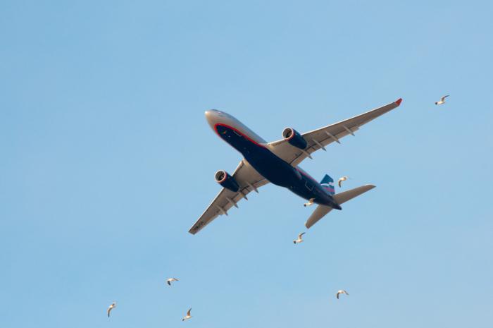 Aeroflot टिकट की वापसी