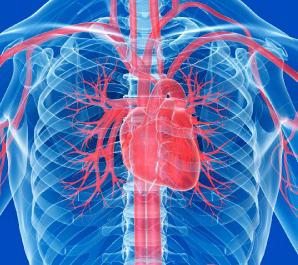 Subclavian धमनी। सबक्लेवियन धमनी का सिंड्रोम